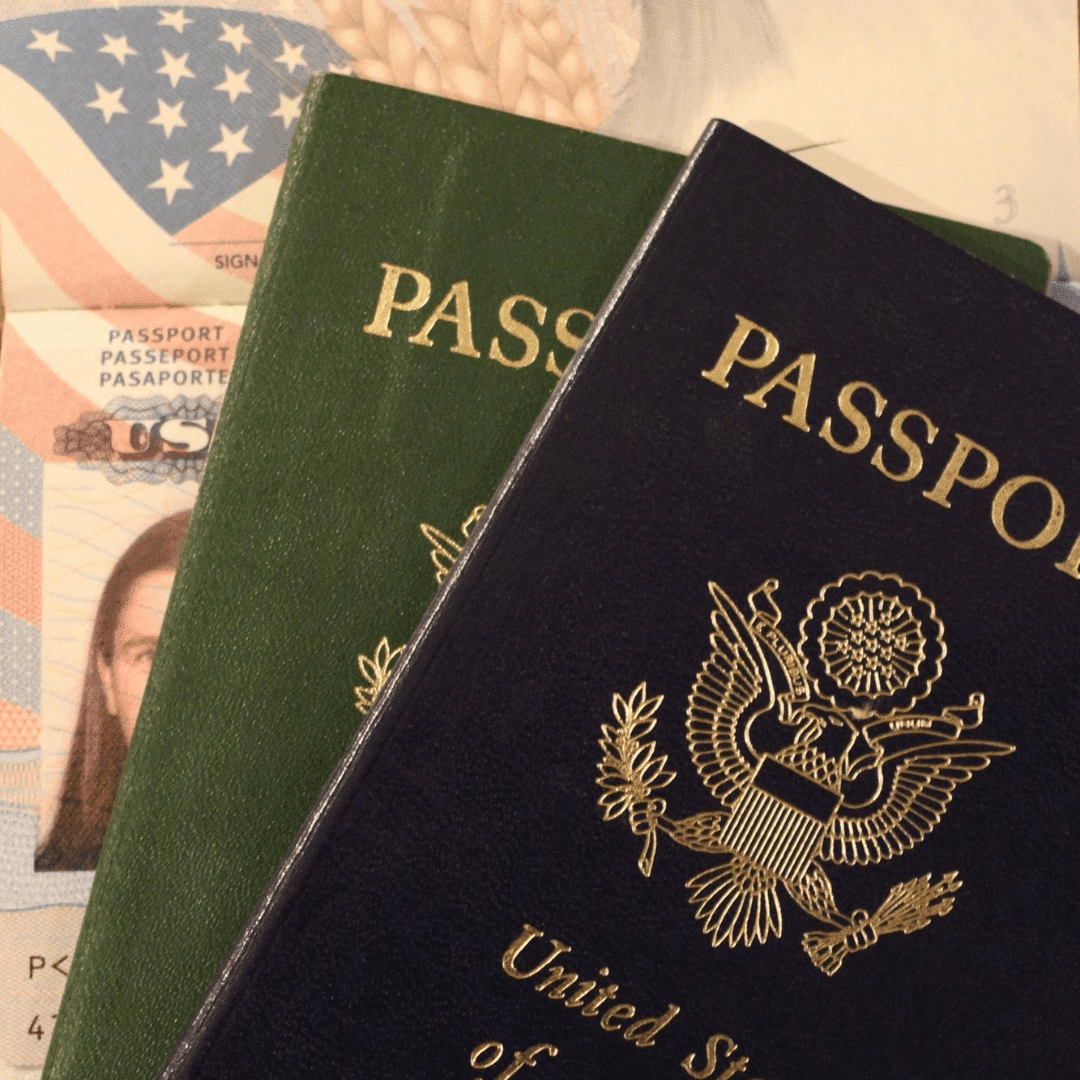 דרכון כחול דרכון ירוק